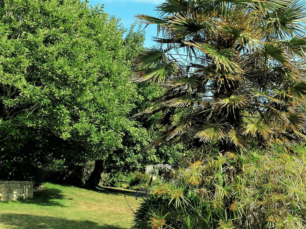 Bed and Breakfast Les Terrasses Du Ris Douarnenez Exterior foto